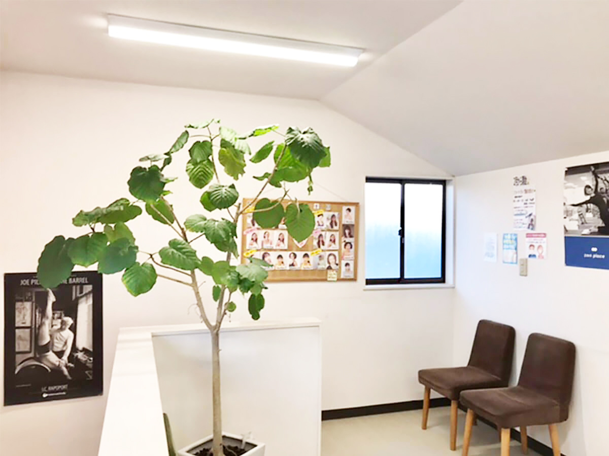 浜田山 スタジオ写真 3