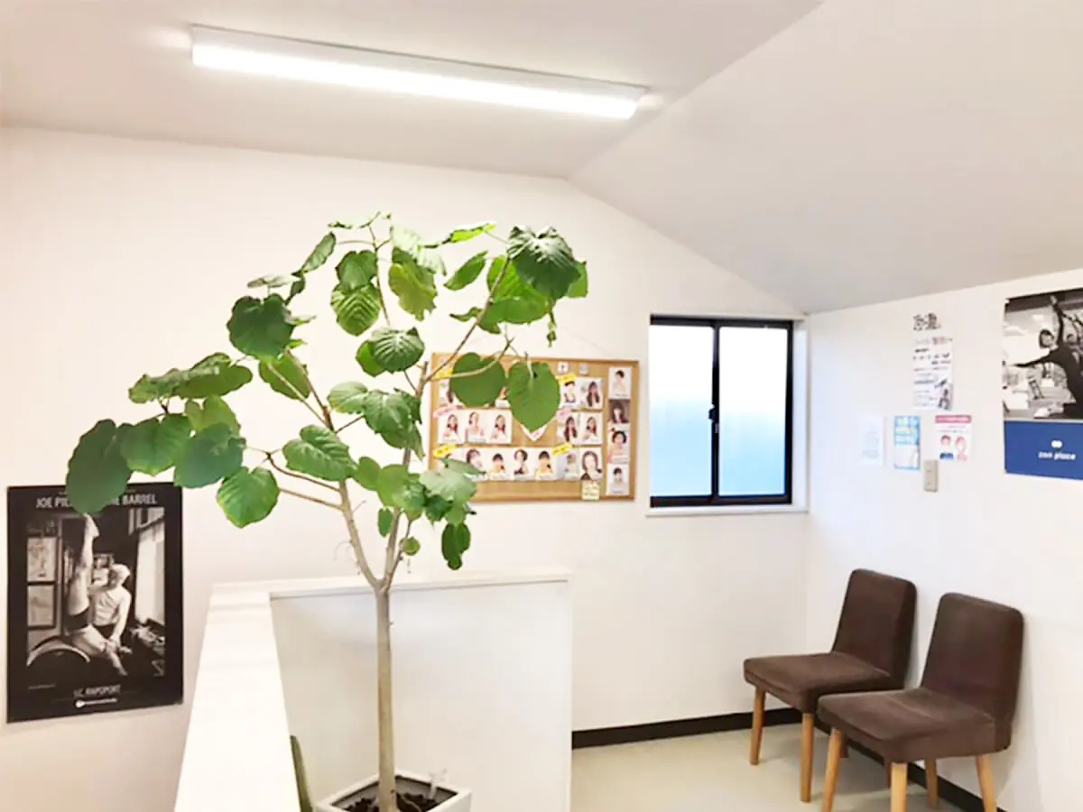 浜田山 スタジオ写真 3