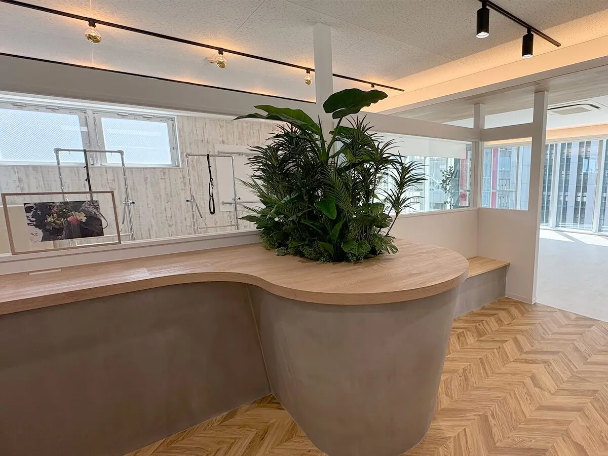 堺東 スタジオ写真 3