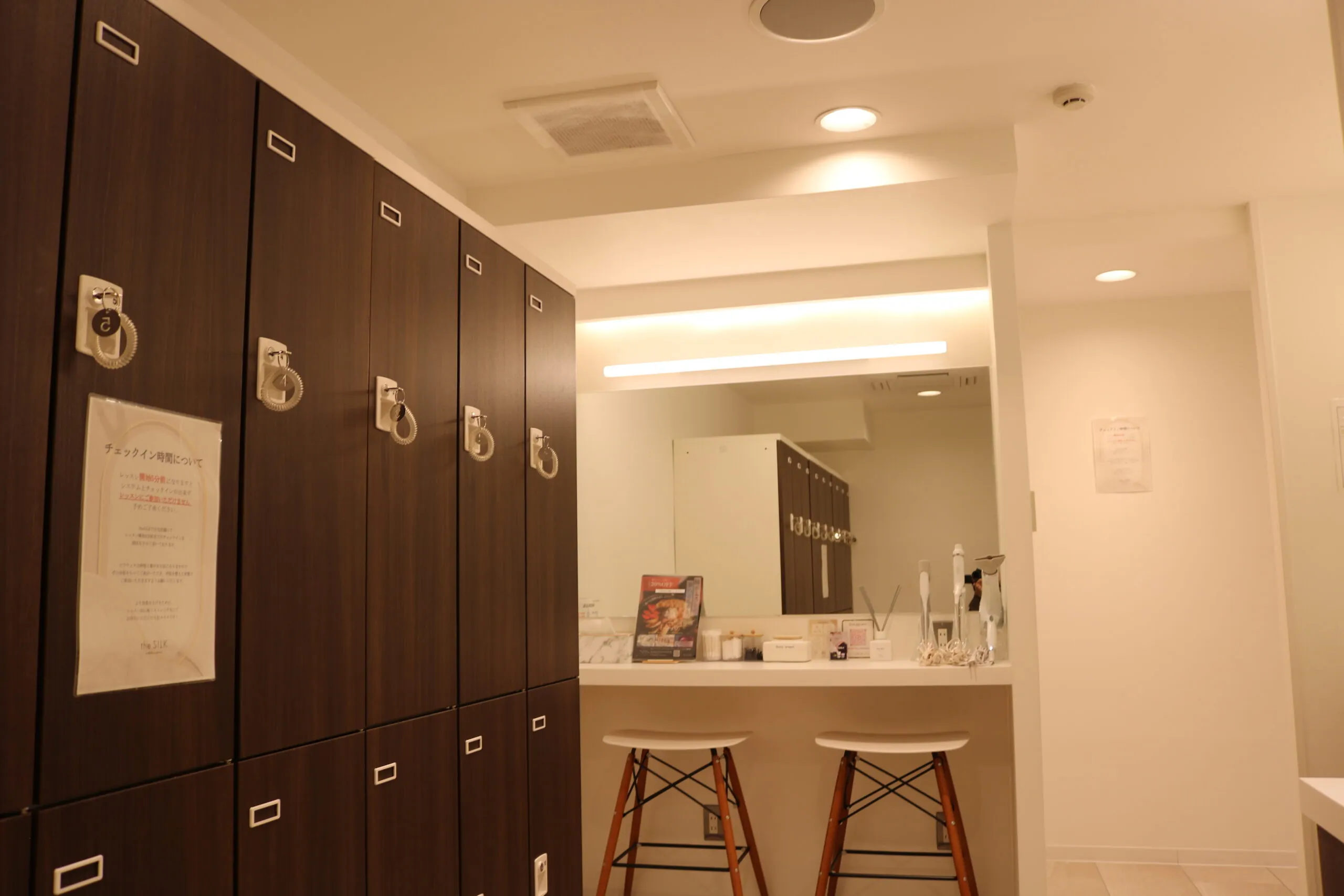 ザシルク赤坂見附 内観 3