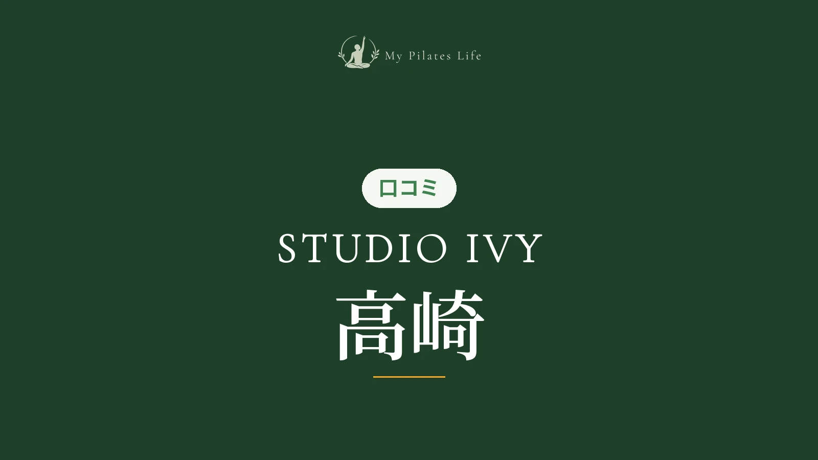 STUDIO IVY 高崎店
