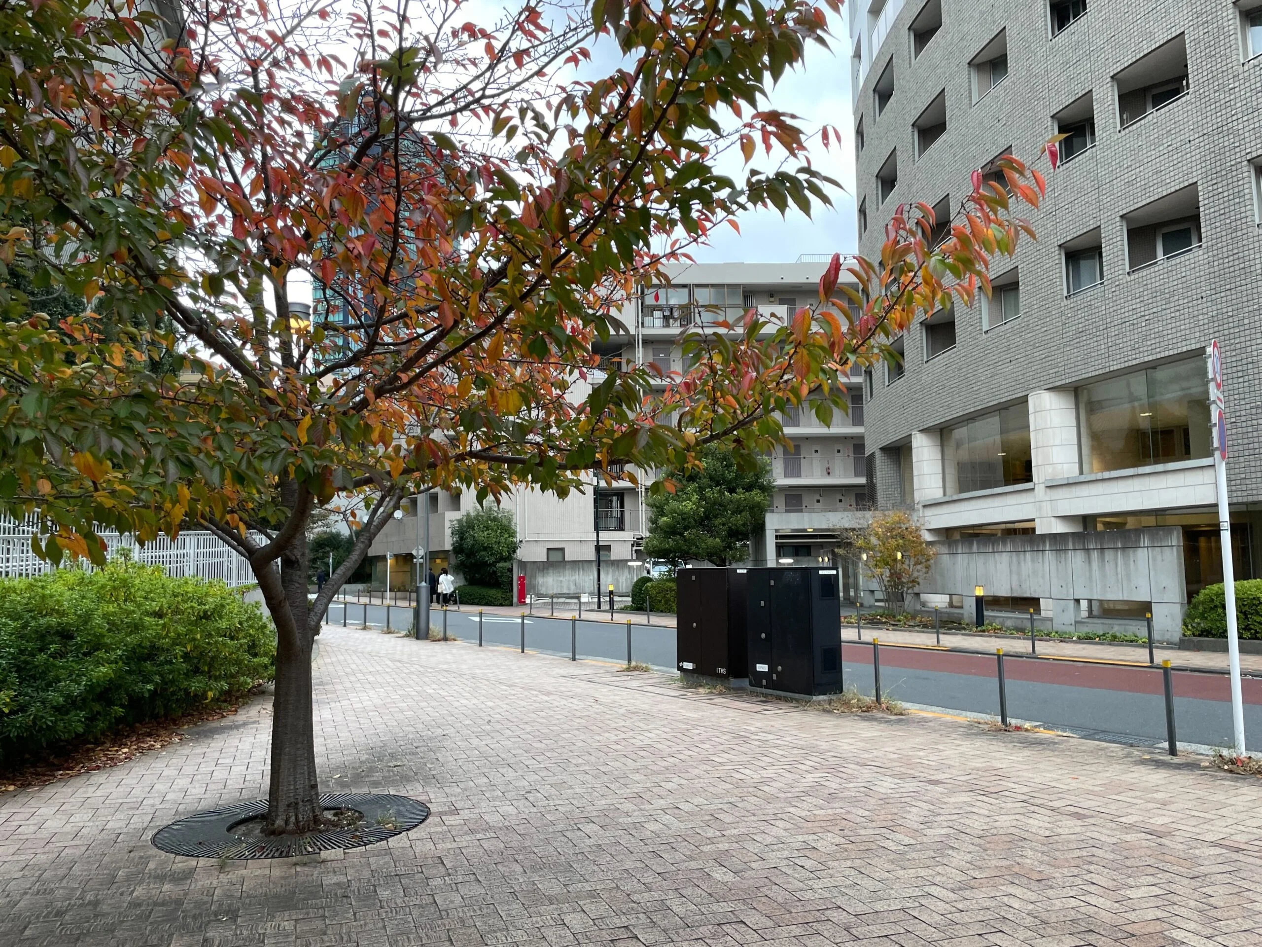 池尻大橋・中目黒店 徒歩ルート 7