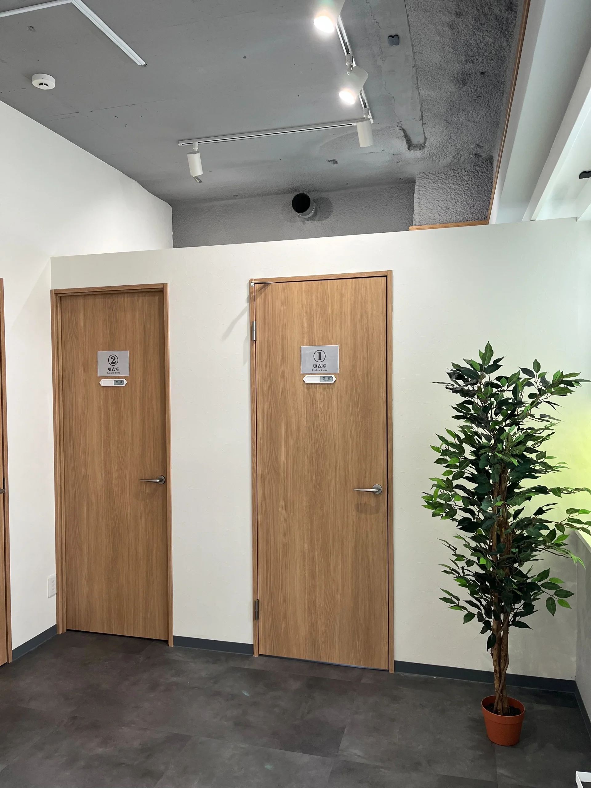 エレメント川口 内観 4