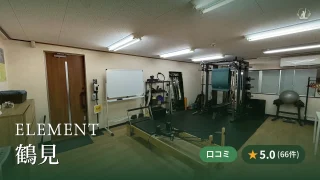 featured_element_tsurumi